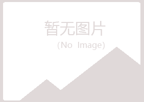 云南白山律师有限公司